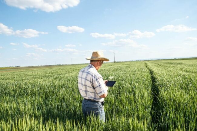 IOT AGRICOLTURA