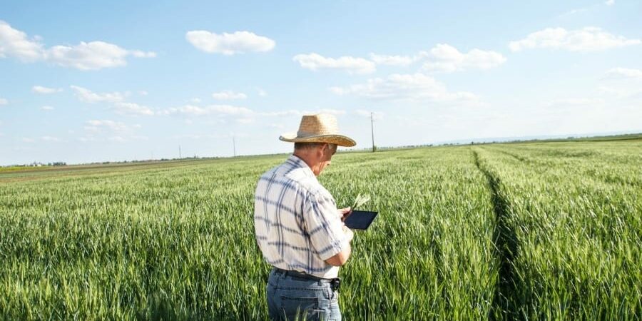 IOT AGRICOLTURA