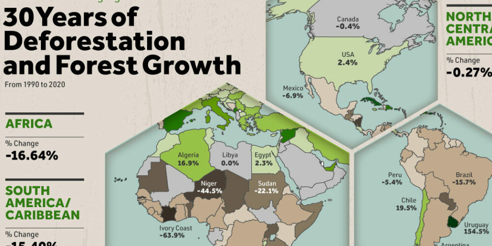 deforestation-featured-1-1000×600